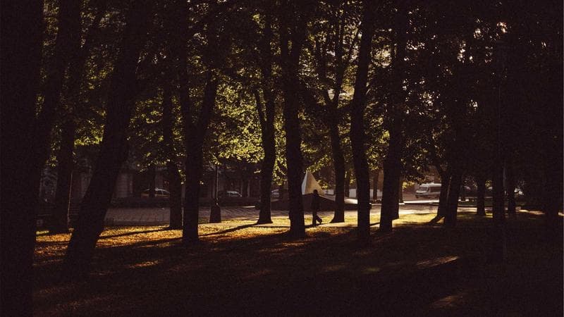 Kichik biznes uchun yangi soliq imtiyozlari
